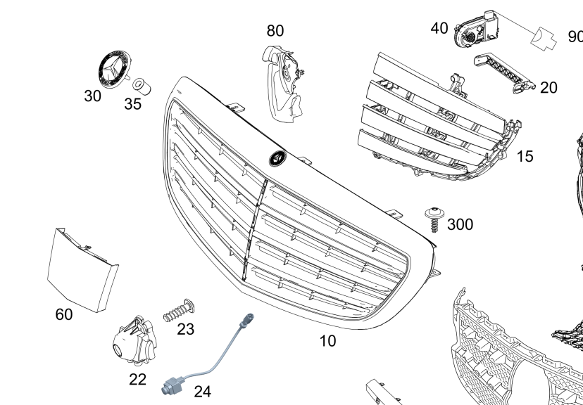 Grille Air Deflector L 2055053130